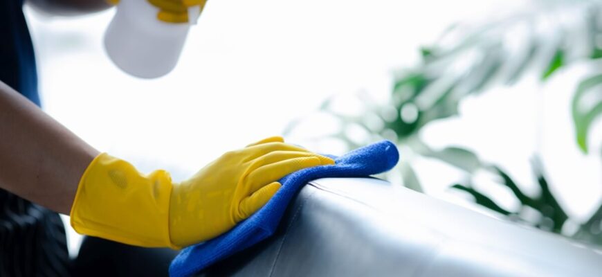 Czyszczenie kanap skórzanych – domowe sposoby vs. profesjonalne usługi